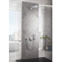 Душевой шланг 1250 Grohe Silverflex (28362000)