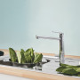 Смеситель для кухни Grohe BauLoop 31713000 с подключением к фильтру