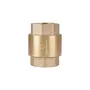 Зворотний клапан SD Plus з латунним штоком 1" SD240W25