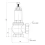 Запобіжний клапан Icma 2" ВР №254