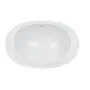 Раковина Qtap Leo 660x425x250 White з донним клапаном QT11114032W