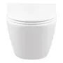 Унітаз підвісний Qtap Robin Mew безобідковий з сидінням Soft-close QT1333046EUQW