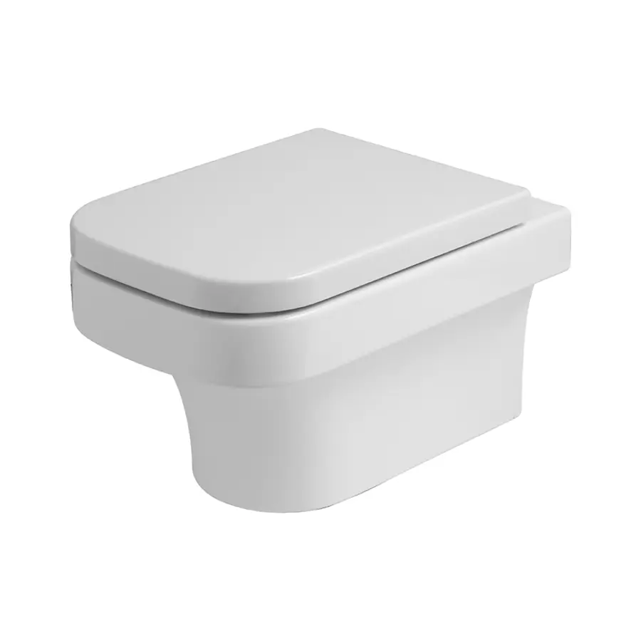 Унітаз-біде підвісний Azzurra Tulip TUF100B1SOSK