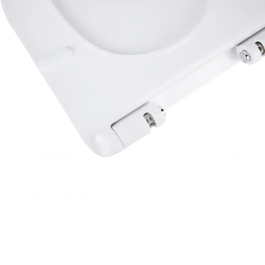 Сидіння для унітаза Qtap (Virgo) з мікроліфтом Slim QT99HY2111W