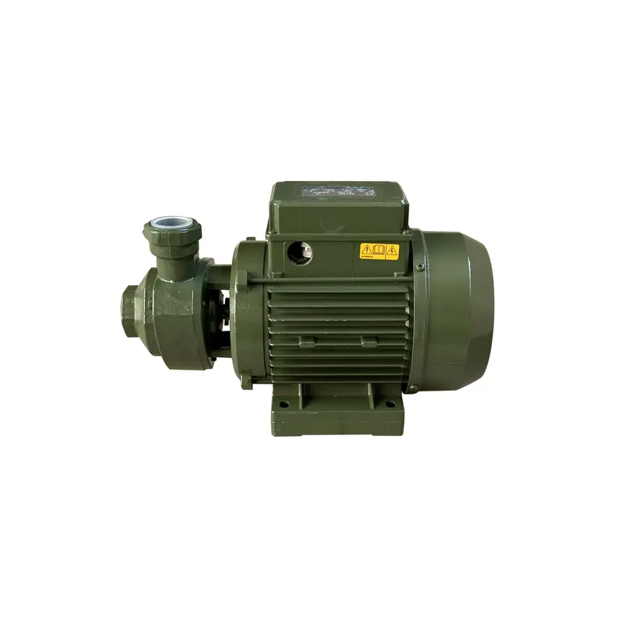 Насос вихревой KF-3 0,55 кВт SAER (3,0 м3 / ч, 62 м) трехфазный