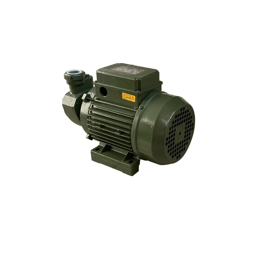 Насос вихревой KF-3 0,55 кВт SAER (3,0 м3 / ч, 62 м) трехфазный