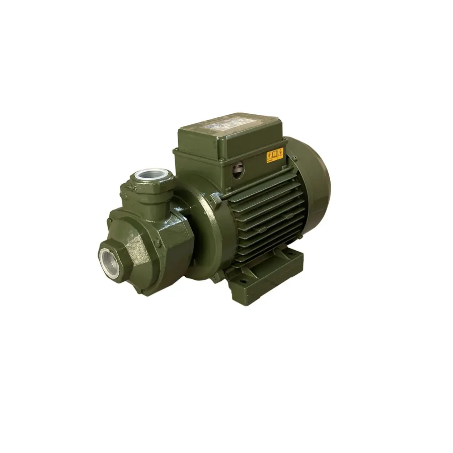 Насос вихревой KF-3 0,55 кВт SAER (3,0 м3 / ч, 62 м) трехфазный