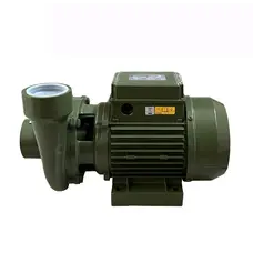 Насос центробежных BP-4 1,1 кВт SAER (32,0 м3 / ч, 22 м) однофазный