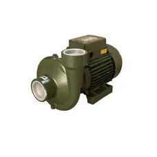 Насос центробежных BP-5 1,5 кВт SAER (40,0 м3 / ч, 24 м) однофазный