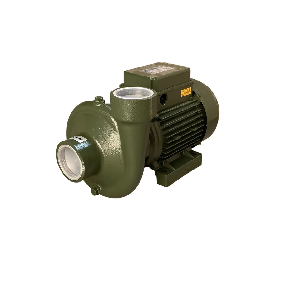 Насос центробежных BP-5 1,5 кВт SAER (40,0 м3 / ч, 24 м) однофазный