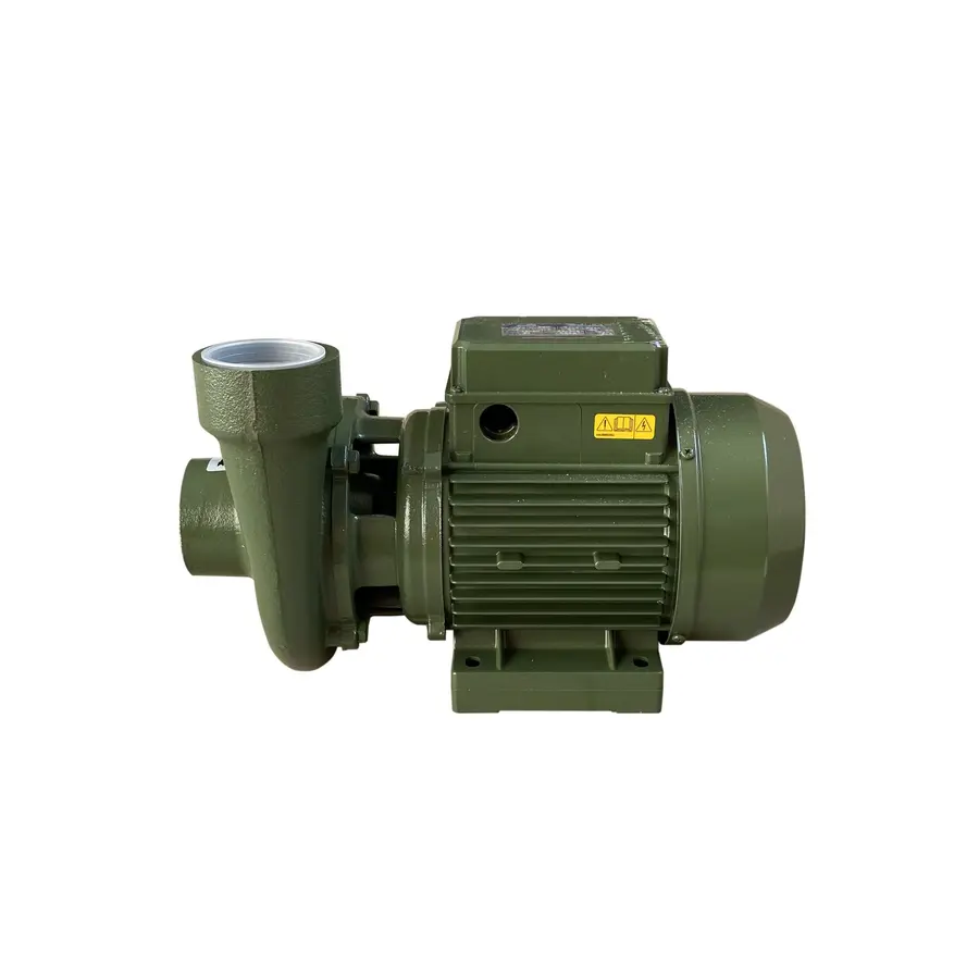 Насос центробежных BP-5 1,5 кВт SAER (40,0 м3 / ч, 24 м) однофазный