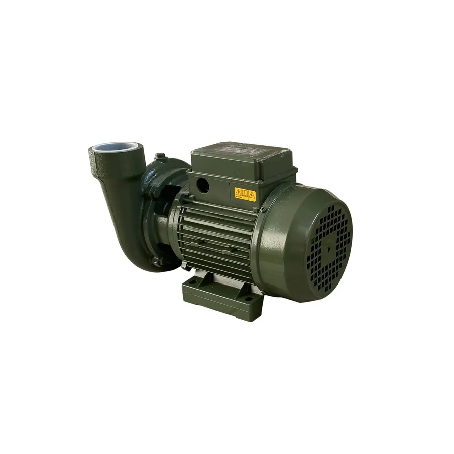 Насос центробежных BP-5 1,5 кВт SAER (40,0 м3 / ч, 24 м) однофазный