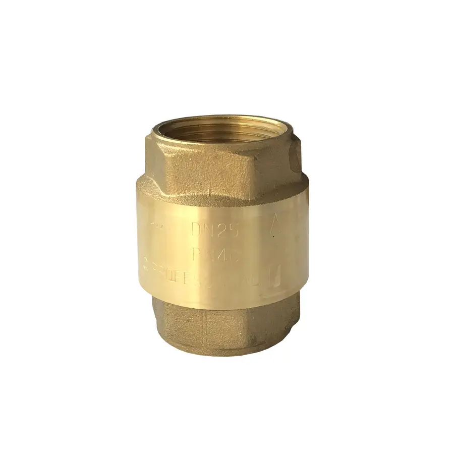 Клапан обратного хода воды PROFESSIONAL 1 "QP100