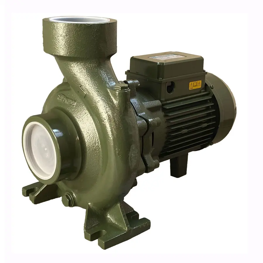Насос центробежных BP-7C 1,5 кВт SAER (60,0 м3 / ч, 15,9 м) однофазный