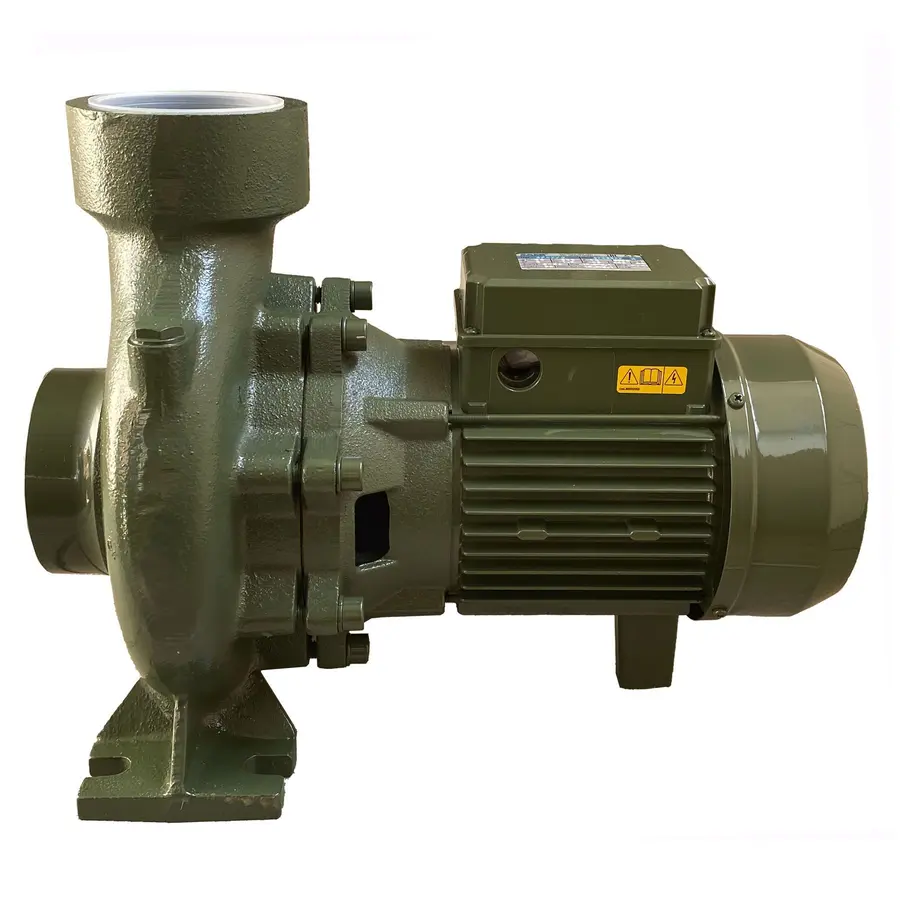 Насос центробежных BP-7C 1,5 кВт SAER (60,0 м3 / ч, 15,9 м) однофазный