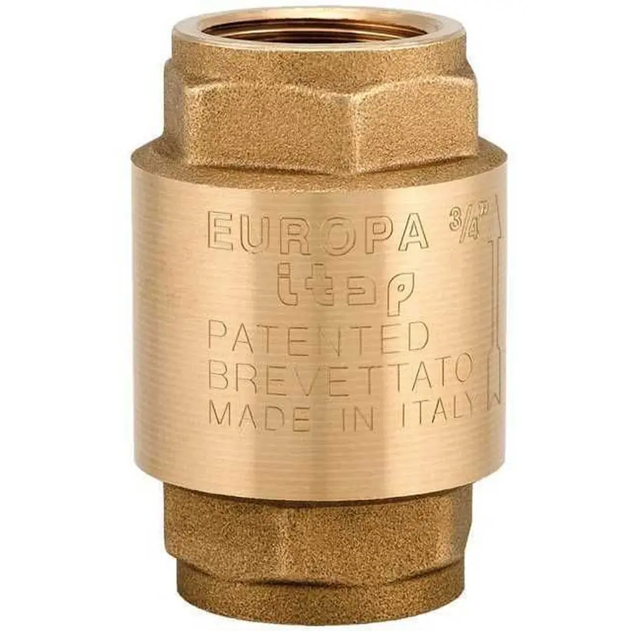 Клапан зворотнього ходу води ITAP 2 1/2" EUROPA 100