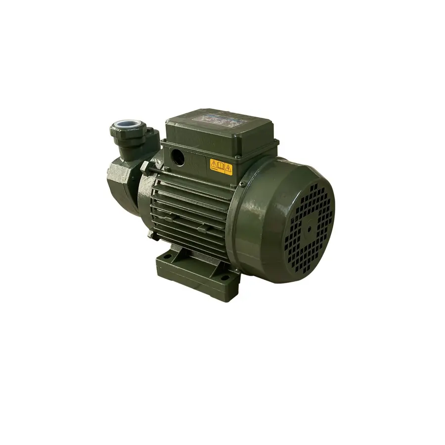 Насос вихревой KF-3 0,55 кВт SAER (3,0 м3 / ч, 62 м) однофазный