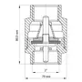 Клапан зворотний NEW 2" (Koer KR.172) (KR2812)