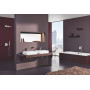 Термостат прихованого монтажу на 2 споживача Grohe Grohtherm SmartControl (29125000)