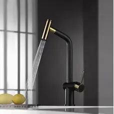 Золотий змішувач для кухні з висувним виливом Nett FG-44