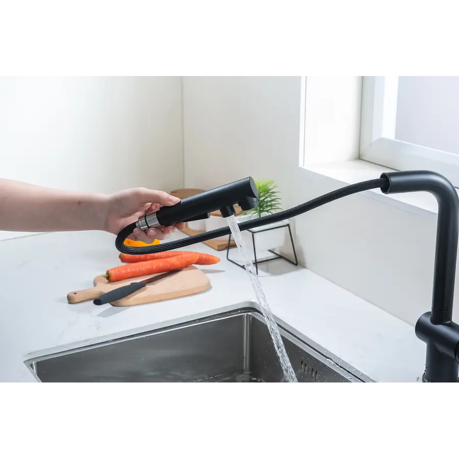 Змішувач чорний для кухні з висувним виливом Nett FBL-34