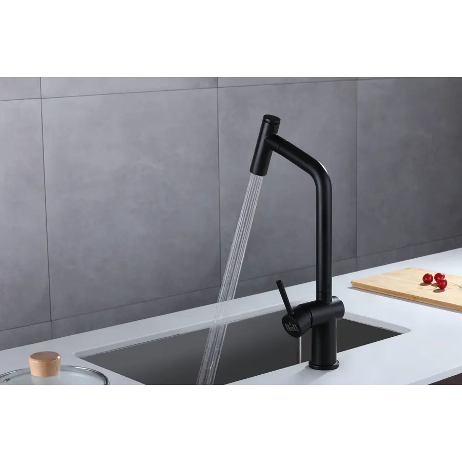 Чорний змішувач для кухні з висувним виливом Nett FBB-44